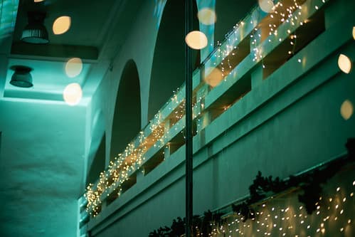 TROOPERS PLES 20. 1. 2023